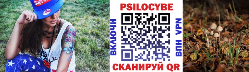 Галлюциногенные грибы GOLDEN TEACHER  площадка состав  Саяногорск 